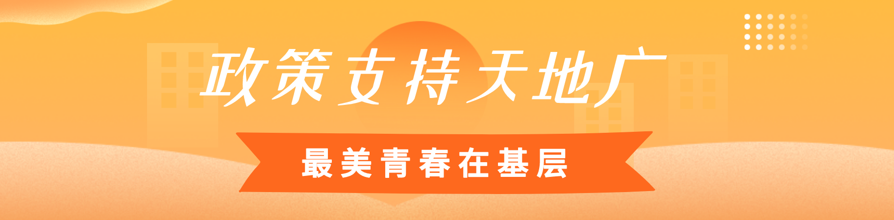 政策